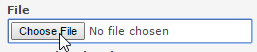 Choose File button with No file chosen.