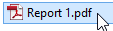 A file named Report 1.pdf.