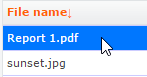 File list with Report 1.pdf selected above sunset.jpg.