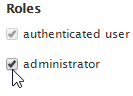 Roles with authenticated user and administrator checked.