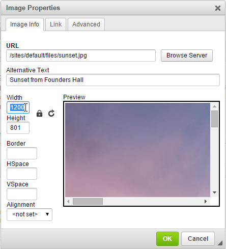 Image Properties dialog with URL, alternative text, width, height, spacing, alignment, and a preview.